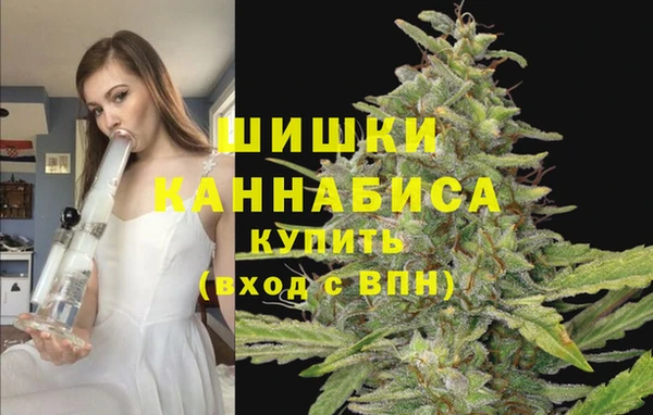 ГАЛЛЮЦИНОГЕННЫЕ ГРИБЫ Протвино